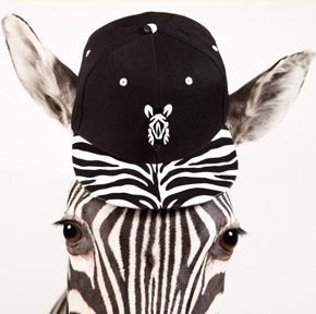 fiftyfiveuploads - MODU Design