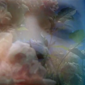 fiftyfiveuploads - Living in a Bubble - Vin...