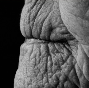 fiftyfiveuploads - SKIN by Laura Bissett